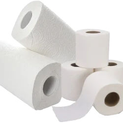 kitchen_toilet_roll